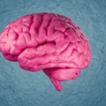 ترک سیگار و کاهش خطر زوال عقل در سالمندی