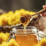 عسل و ورزش؛ چگونه این ماده طبیعی به تأمین انرژی و ریکاوری کمک می‌کند؟