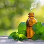 روغن نعناع و فشار خون؛ ممکن است در ۲۰ روز به کاهش فشار خون کمک کند