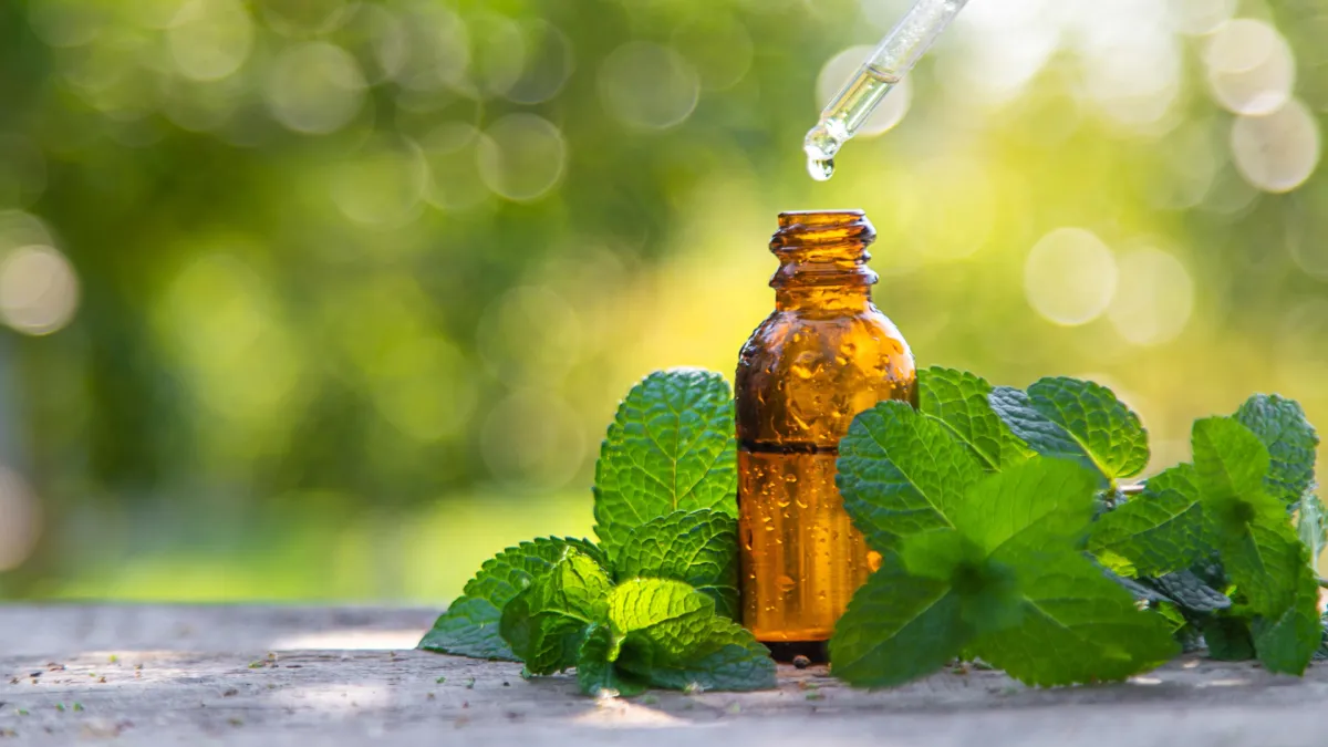روغن نعناع و فشار خون؛ ممکن است در ۲۰ روز به کاهش فشار خون کمک کند