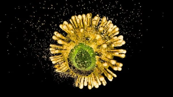 داروی جدید HIV با هدف‌گیری کپسید ویروس، نخستین آزمایش انسانی را با موفقیت پشت سر گذاشت